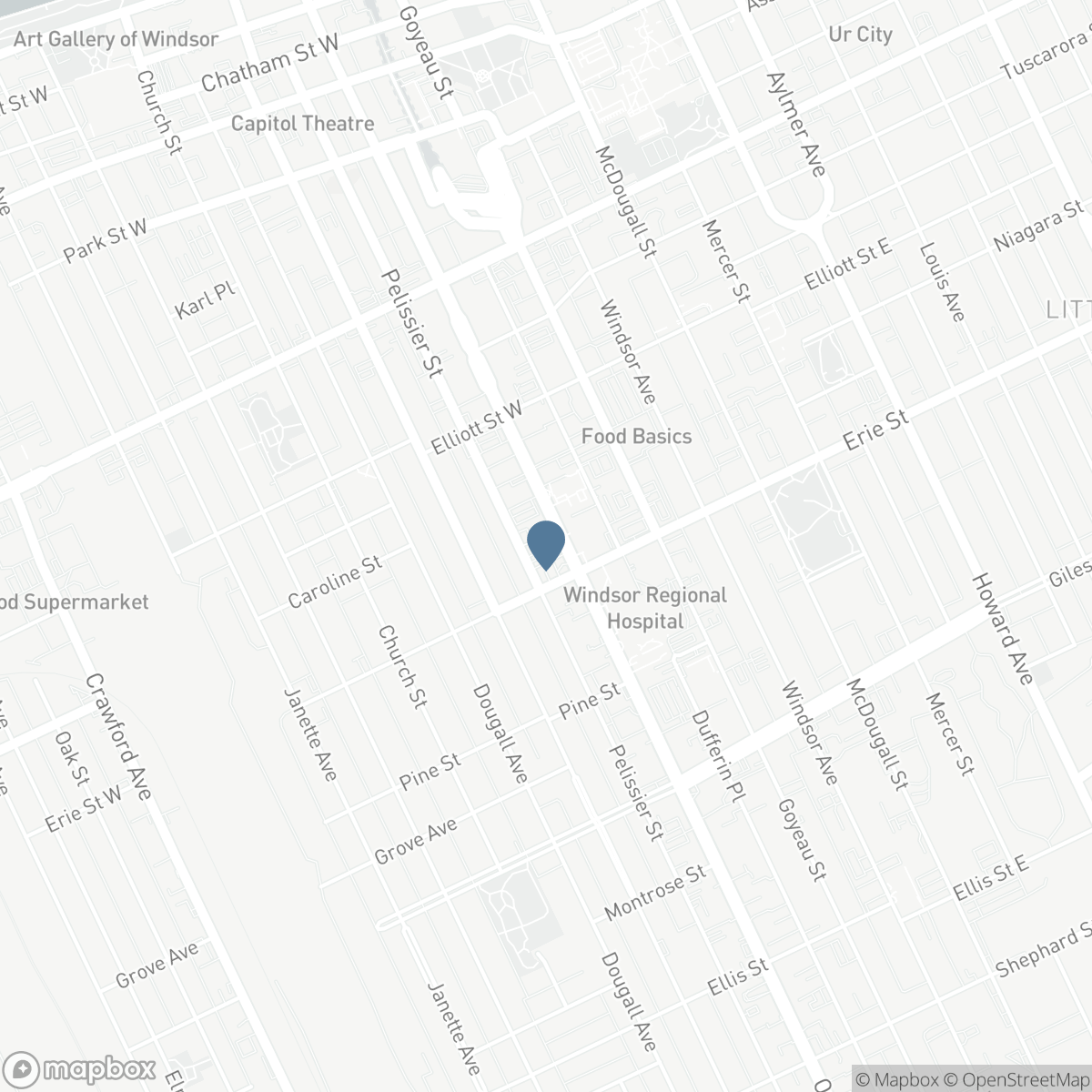 961 OUELLETTE AVENUE, Windsor, Ontario N9A 4J5